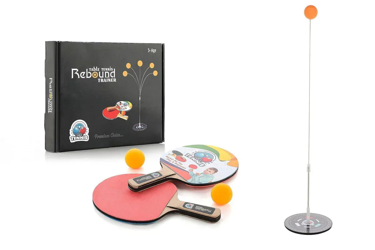 Indoor Table Tennis