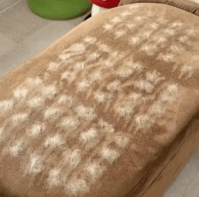 Magic Brush™ — Pet Hair Remover Glove