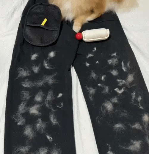 Magic Brush™ — Pet Hair Remover Glove