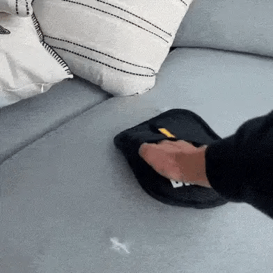 Magic Brush™ — Pet Hair Remover Glove